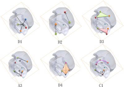 Feature extraction of 3D Chinese rose model based on color and shape features